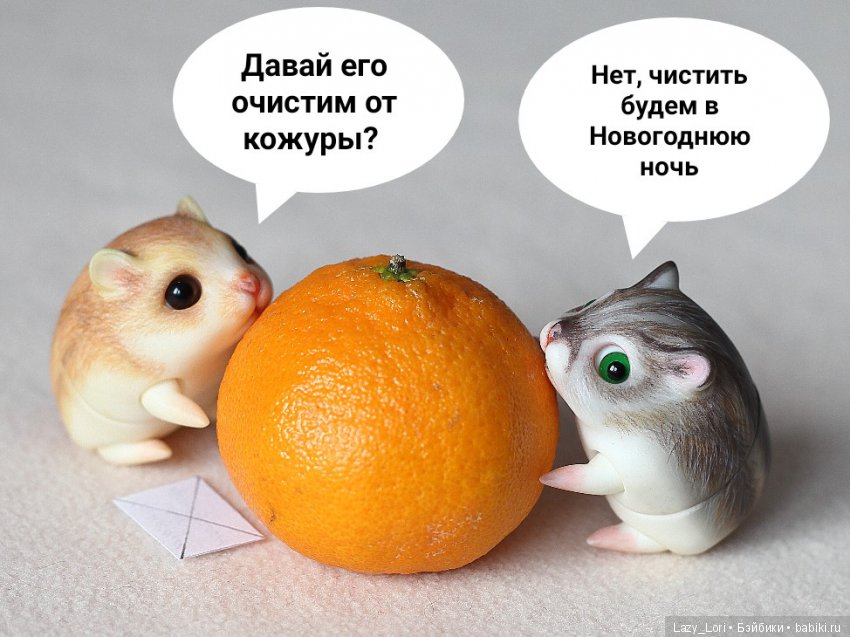 Невероятное приключение хомок. Продолжение