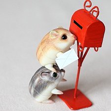 Невероятное приключение хомок. Продолжение