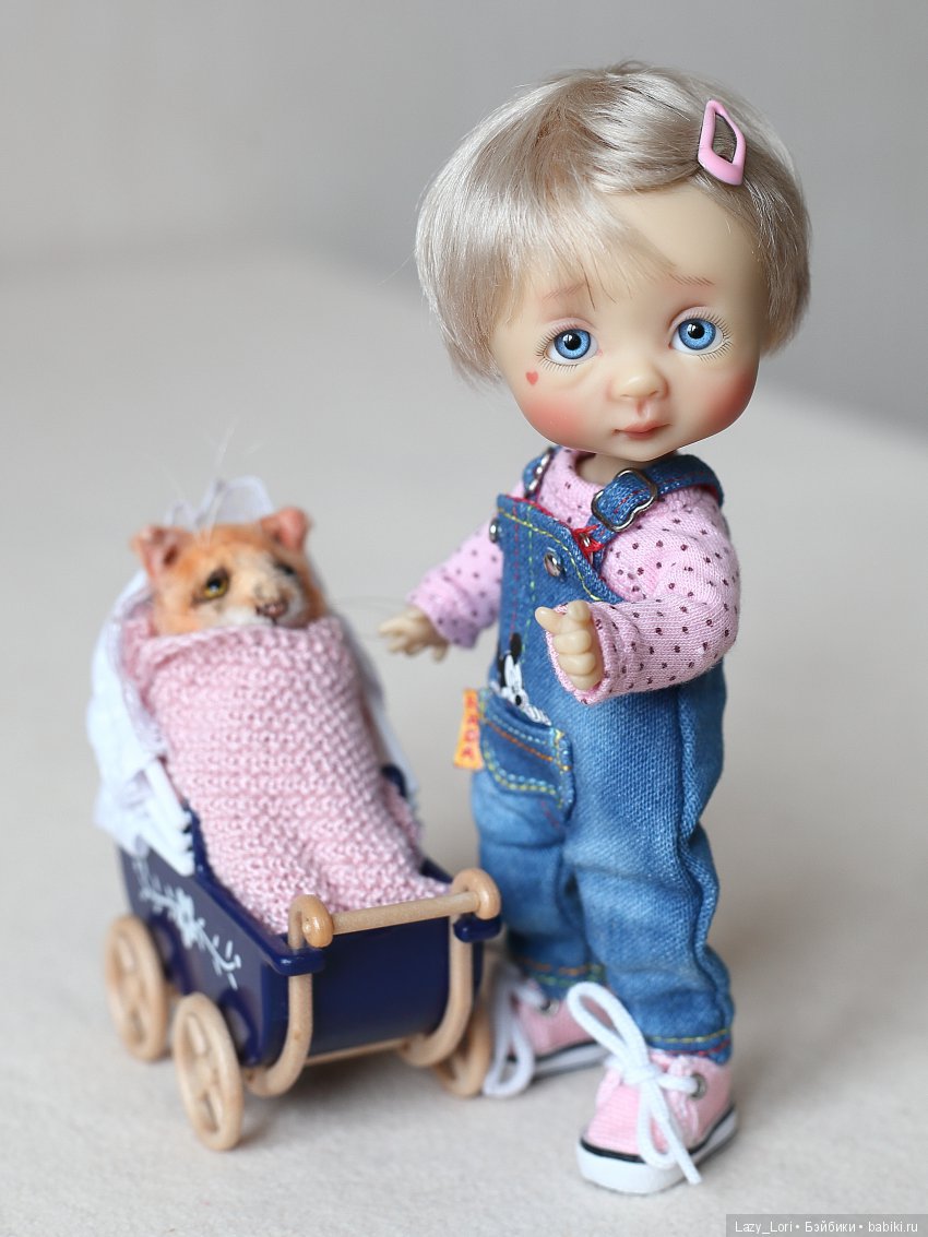 О нелегкой кошачьей жизни