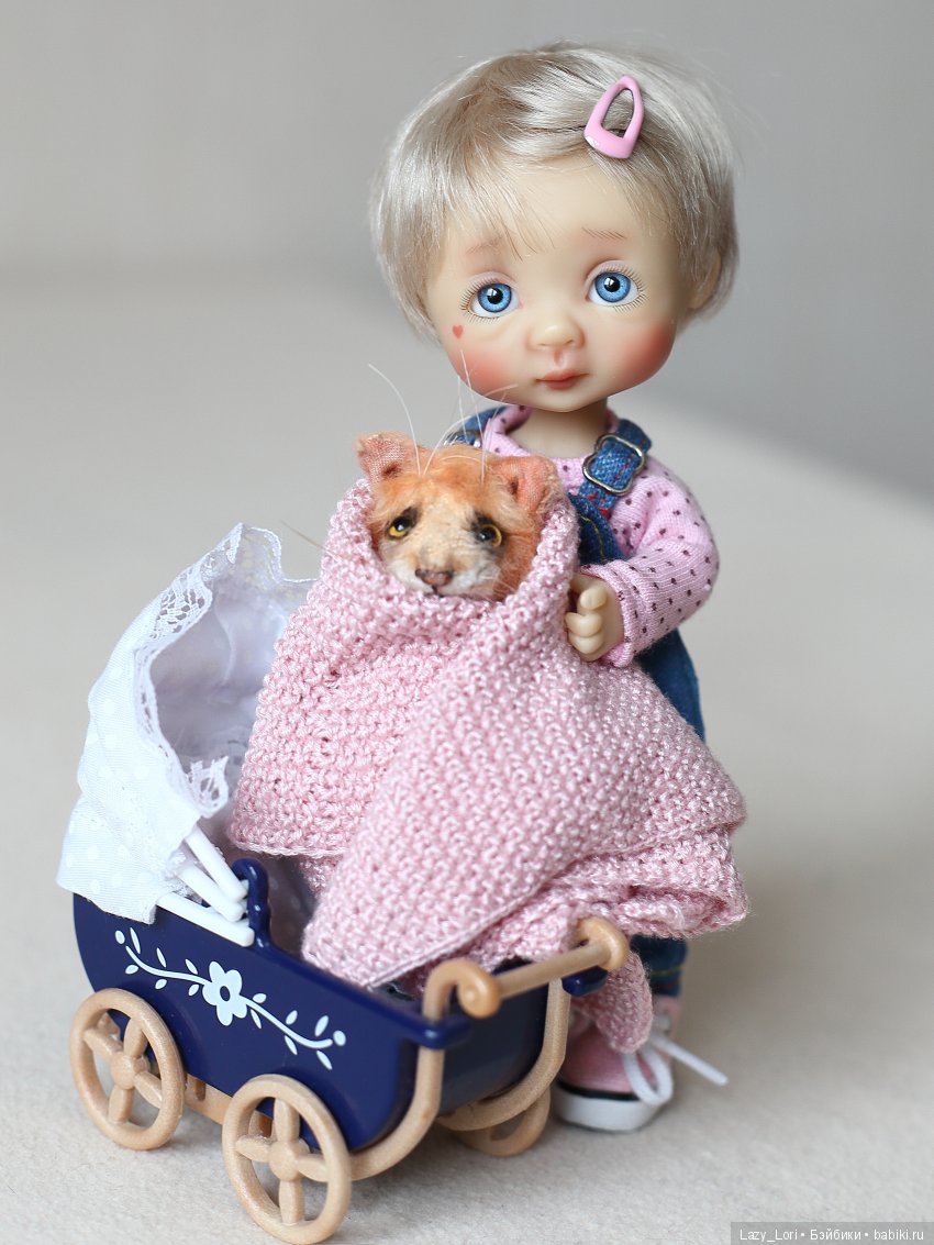 О нелегкой кошачьей жизни