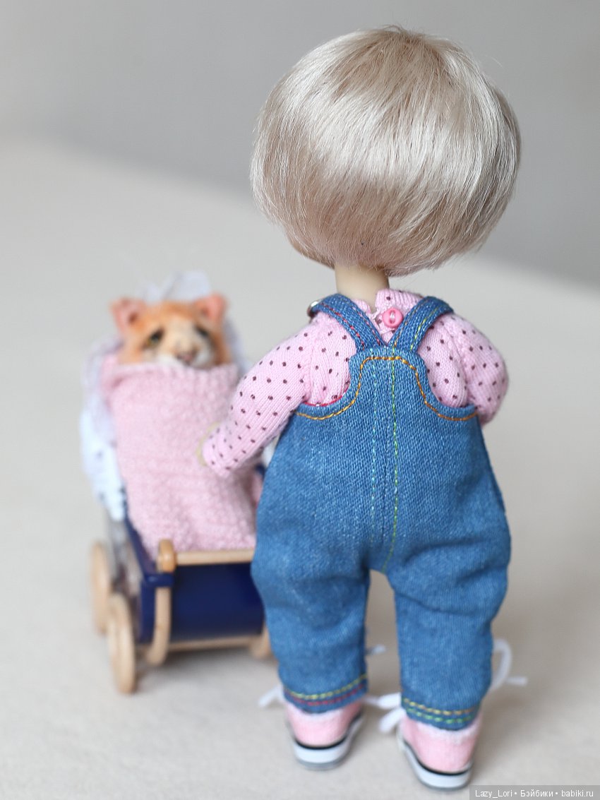 О нелегкой кошачьей жизни