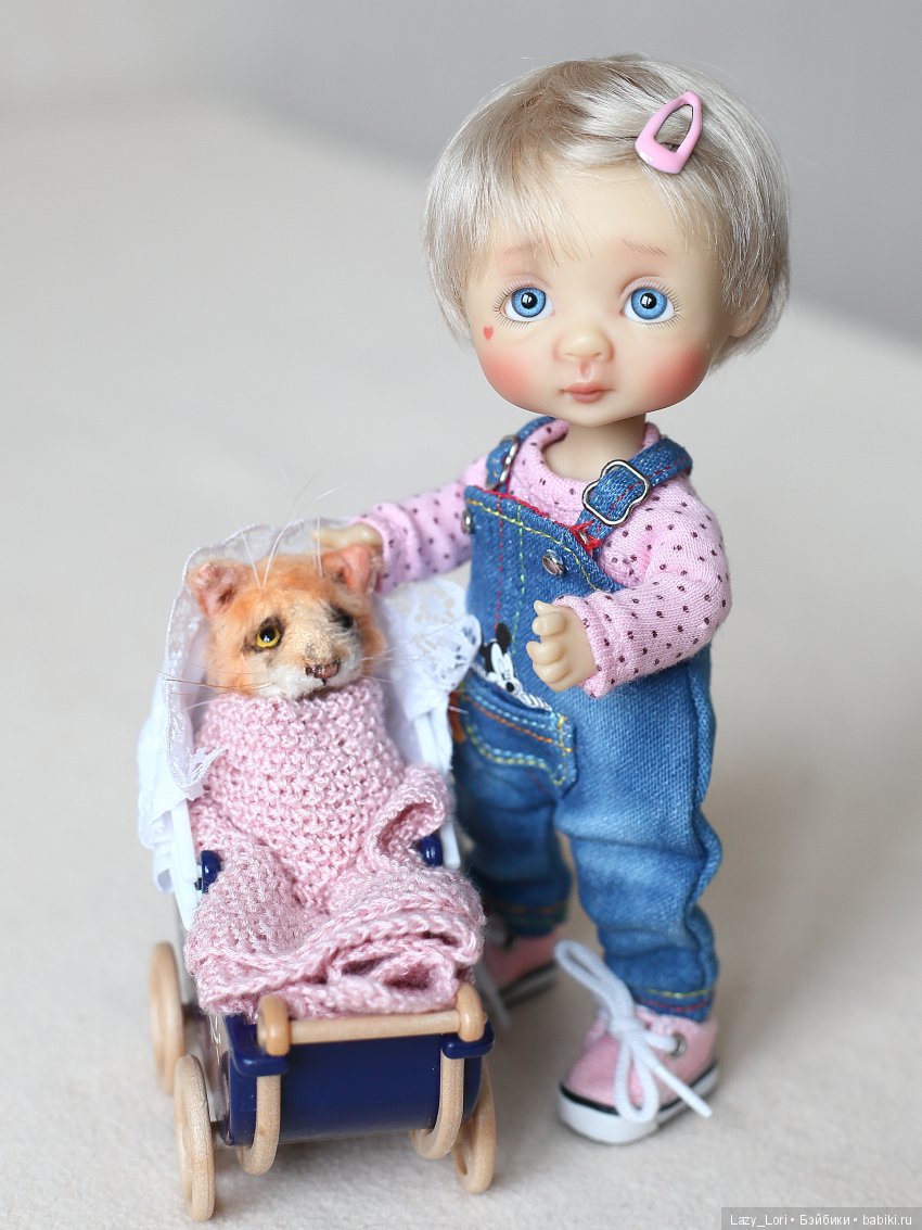 О нелегкой кошачьей жизни