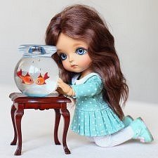 Соня и рыбки