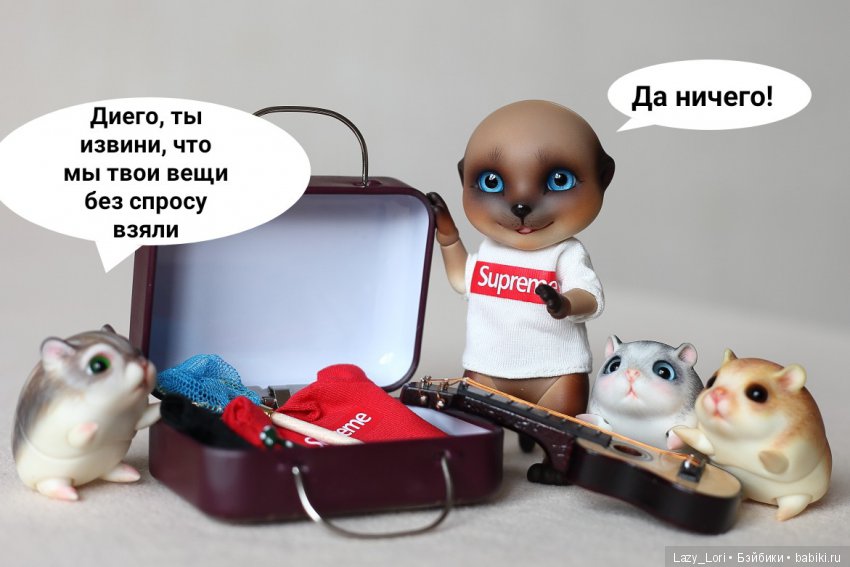 Хомки. Эпохальное знакомство (фото 9)