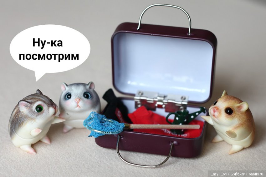 Хомки. Эпохальное знакомство (фото 3)