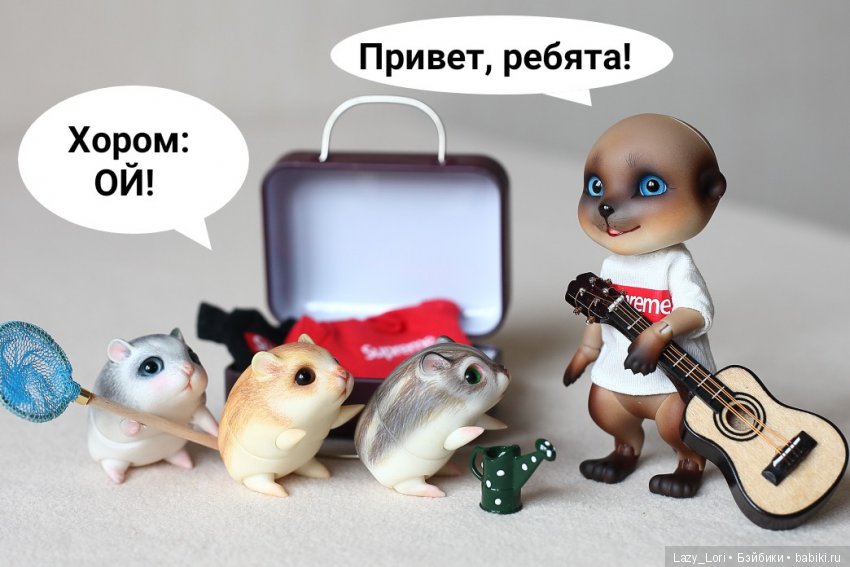 Хомки. Эпохальное знакомство (фото 7)