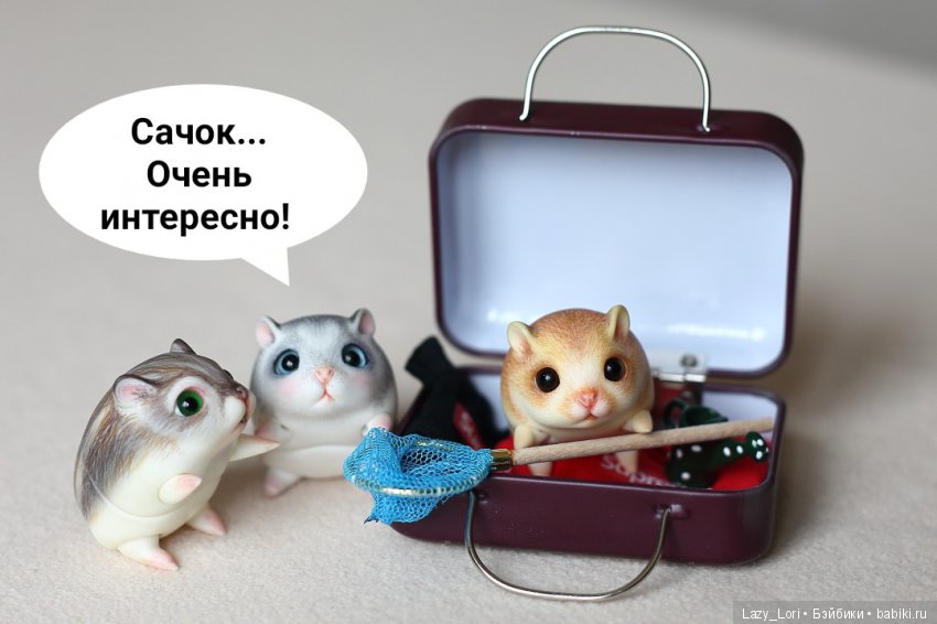 Хомки. Эпохальное знакомство (фото 4)