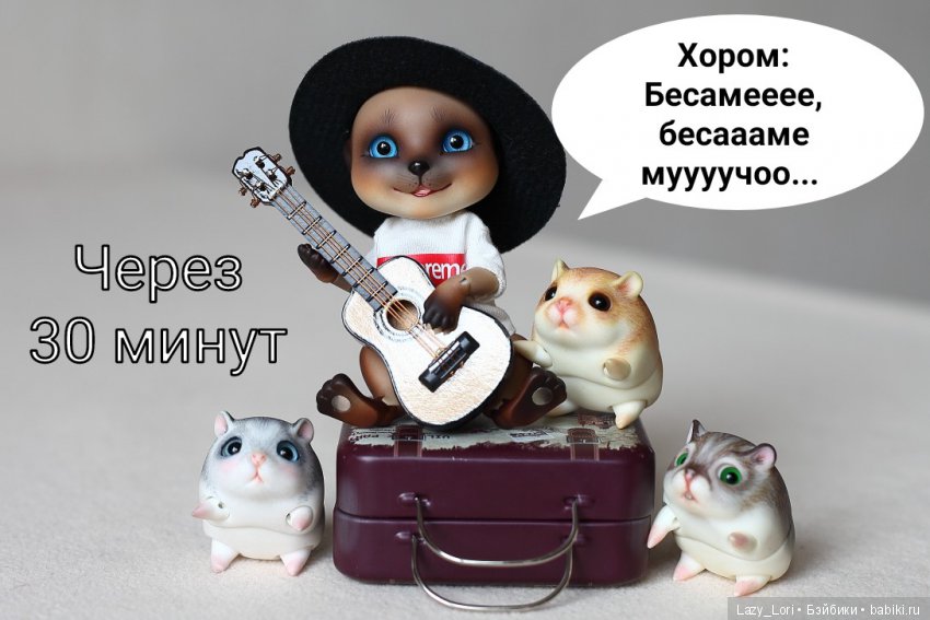 Хомки. Эпохальное знакомство (фото 10)