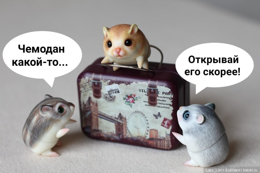 Хомки. Эпохальное знакомство (фото 2)