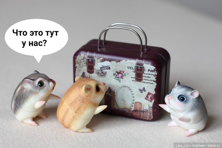 Хомки. Эпохальное знакомство