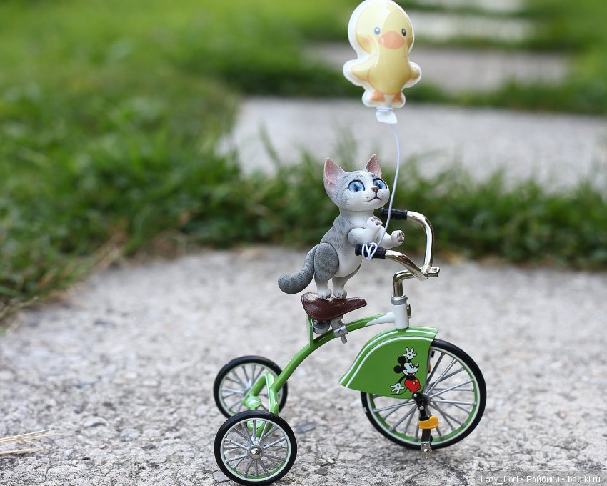 Воздушный шарик, велосипед и котик Тотошка