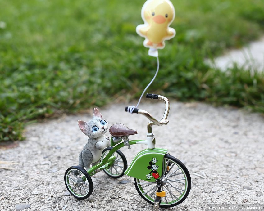 Воздушный шарик, велосипед и котик Тотошка (фото 10)