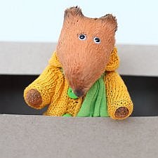 Мой солнечный лис