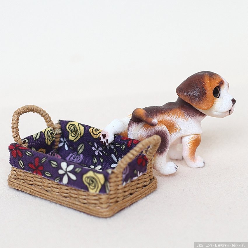 Щенок Макс дома — Фотоистории с куклами BJD (БЖД): сериалы (фото 7)