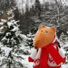 Лис Моррис и первый настоящий зимний день