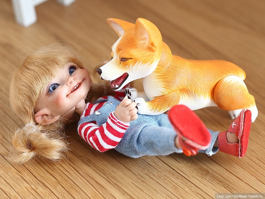 Записки корги Чипса. Часть 3. Ева | Бэйбики Записки корги Чипса. Часть 3. Ева (фото 8)