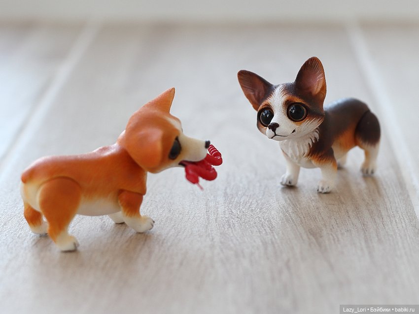 Домашние приключения Вари, Морриса и компании