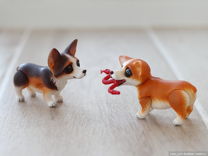 Домашние приключения Вари, Морриса и компании