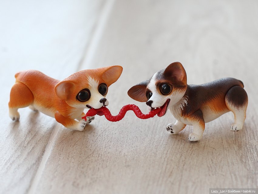 Домашние приключения Вари, Морриса и компании