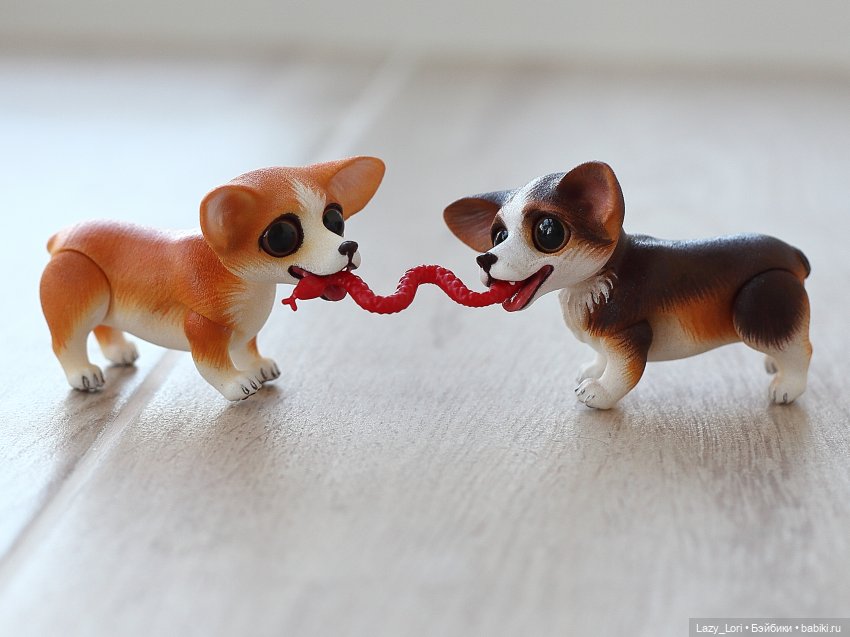 Домашние приключения Вари, Морриса и компании