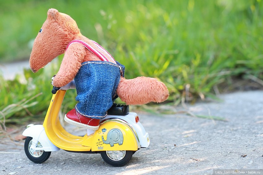 Лисьи гонки — Домашние фото авторских игрушек: Тедди (фото 4)