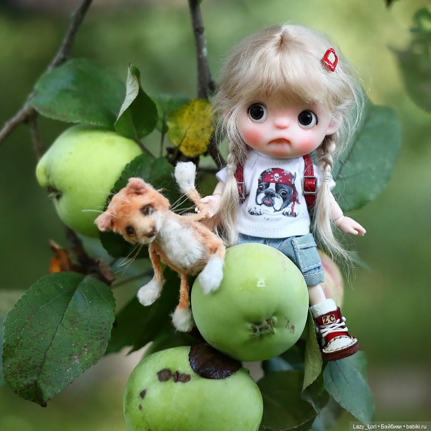 Чудо по имени Мася — Куклы и тела Obitsu 11 (Ob11): гибриды