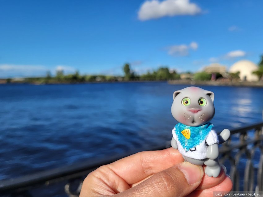 Выборг и котики — Туризм и путешествия: фотоотчеты из поездок