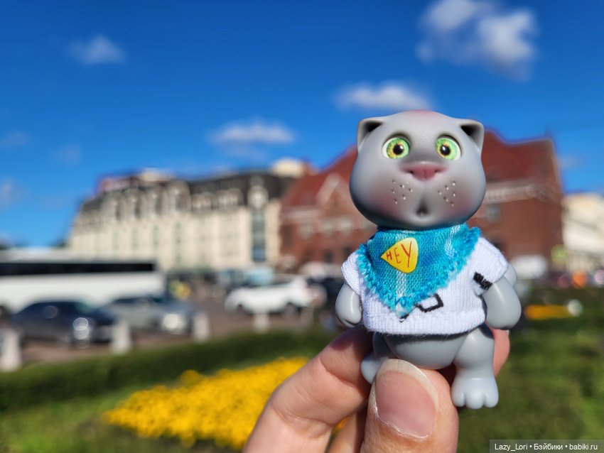 Выборг и котики — Туризм и путешествия: фотоотчеты из поездок