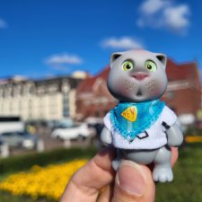 Выборг и котики