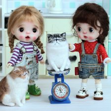 Хорошего котика должно быть много