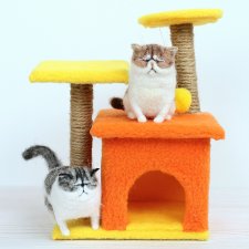 Немного о котиках