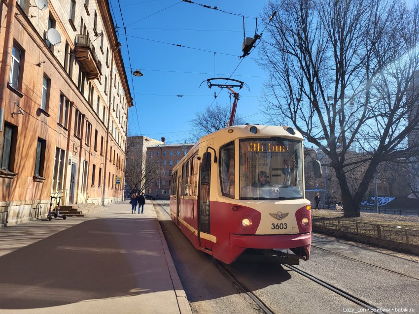 Лис Патрик в Санкт-Петербурге | Бэйбики Лис Патрик в Санкт-Петербурге (фото 4)