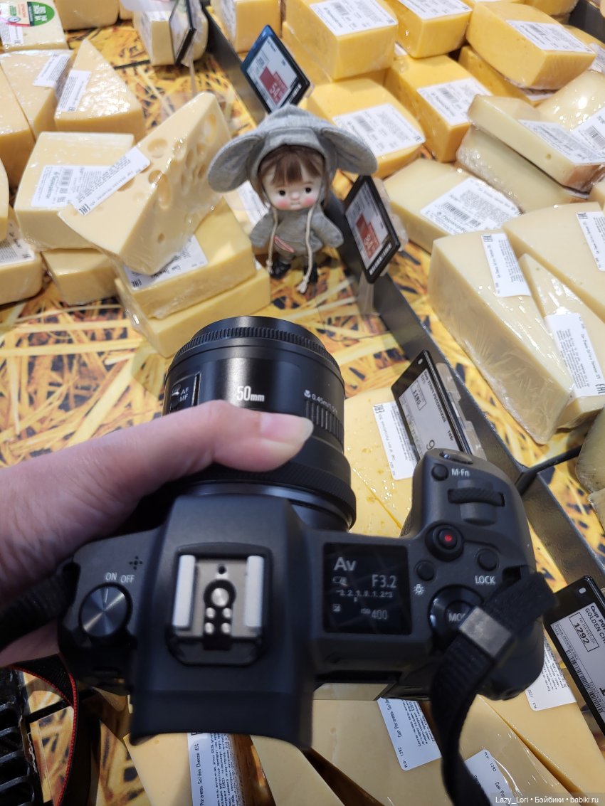 Записки городской сумасшедшей или история одного фото (фото 9)