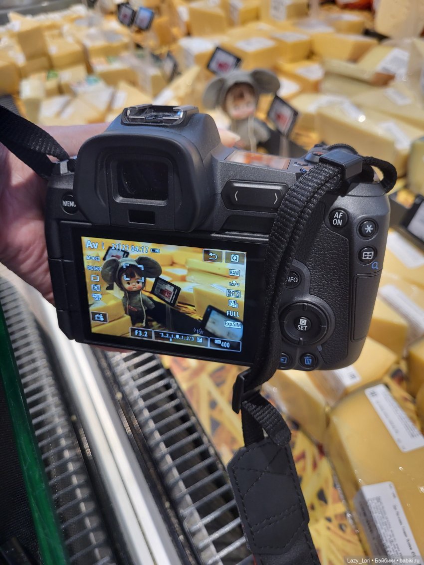 Записки городской сумасшедшей или история одного фото (фото 10)