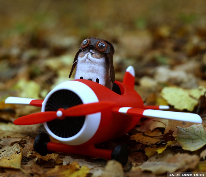 Первым делом, первым делом самолеты (фото 5)