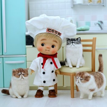 Про рыбов и котиков