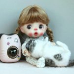 Звёздочка ob11 от Fdoll с приданным