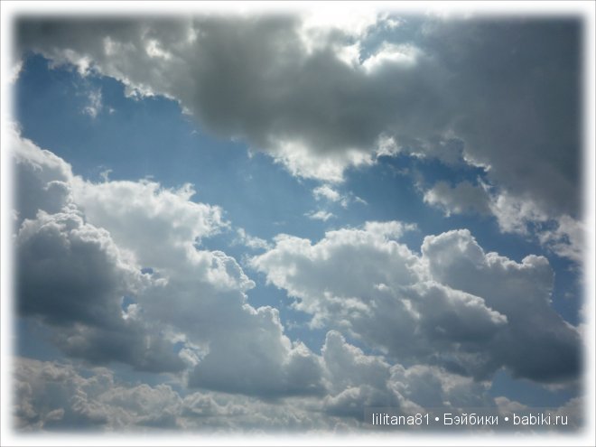 Букашки на природе — Куклы Sylvia Natterer (Сильвия Наттерер): Gotz