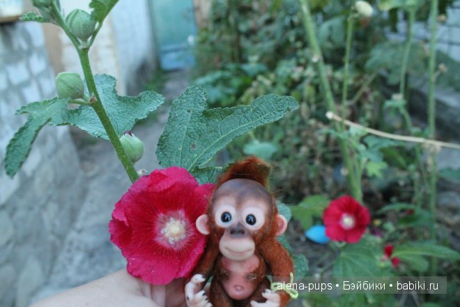 Наши новости. (LUTS, Hansel; DollChateau Ada; Hujoo, Is; ООАК Jane Buffy)