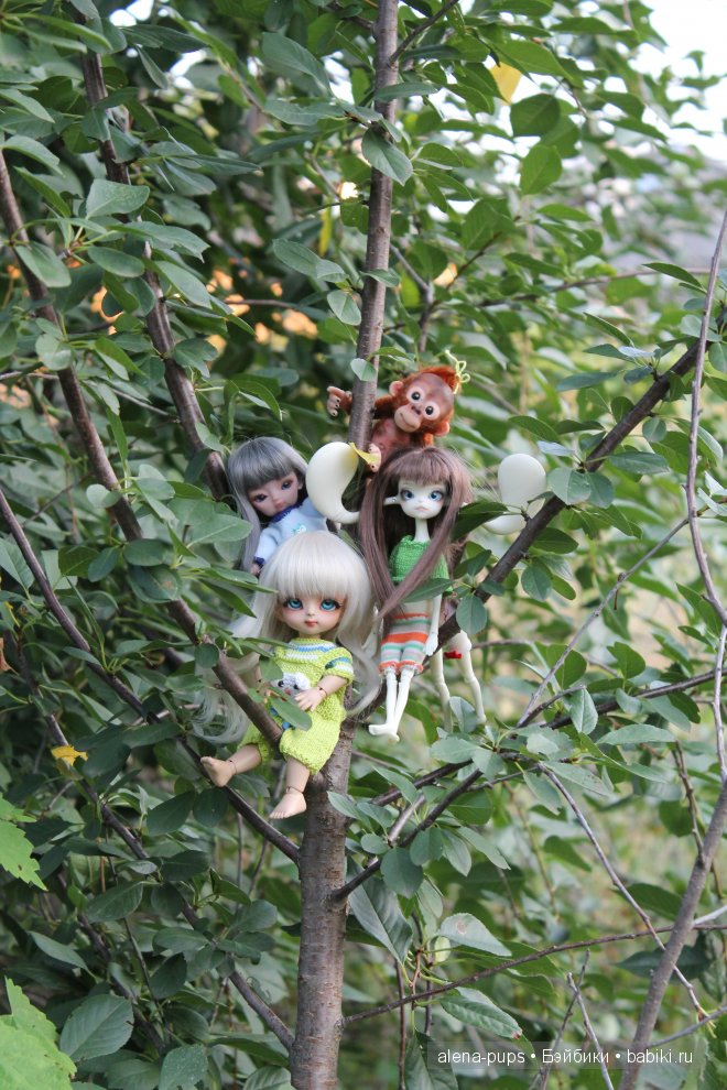 Наши новости. (LUTS, Hansel; DollChateau Ada; Hujoo, Is; ООАК Jane Buffy) (фото 9)