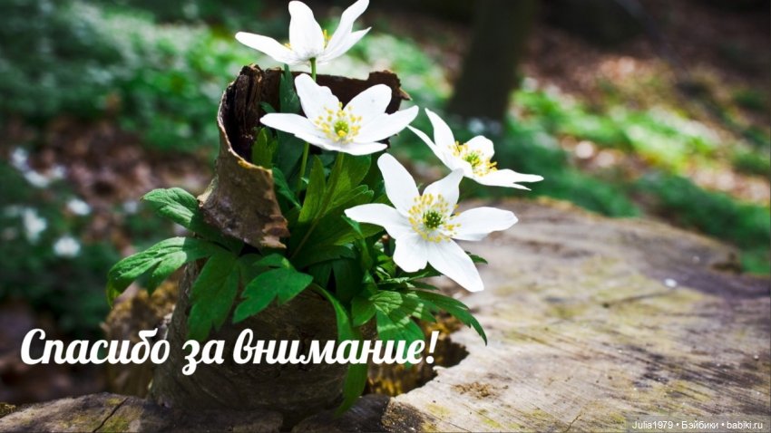 Эль Barbie Looks model #2 (фото 8)