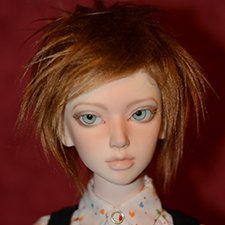 Гибрид Elfdoll June на теле Supia