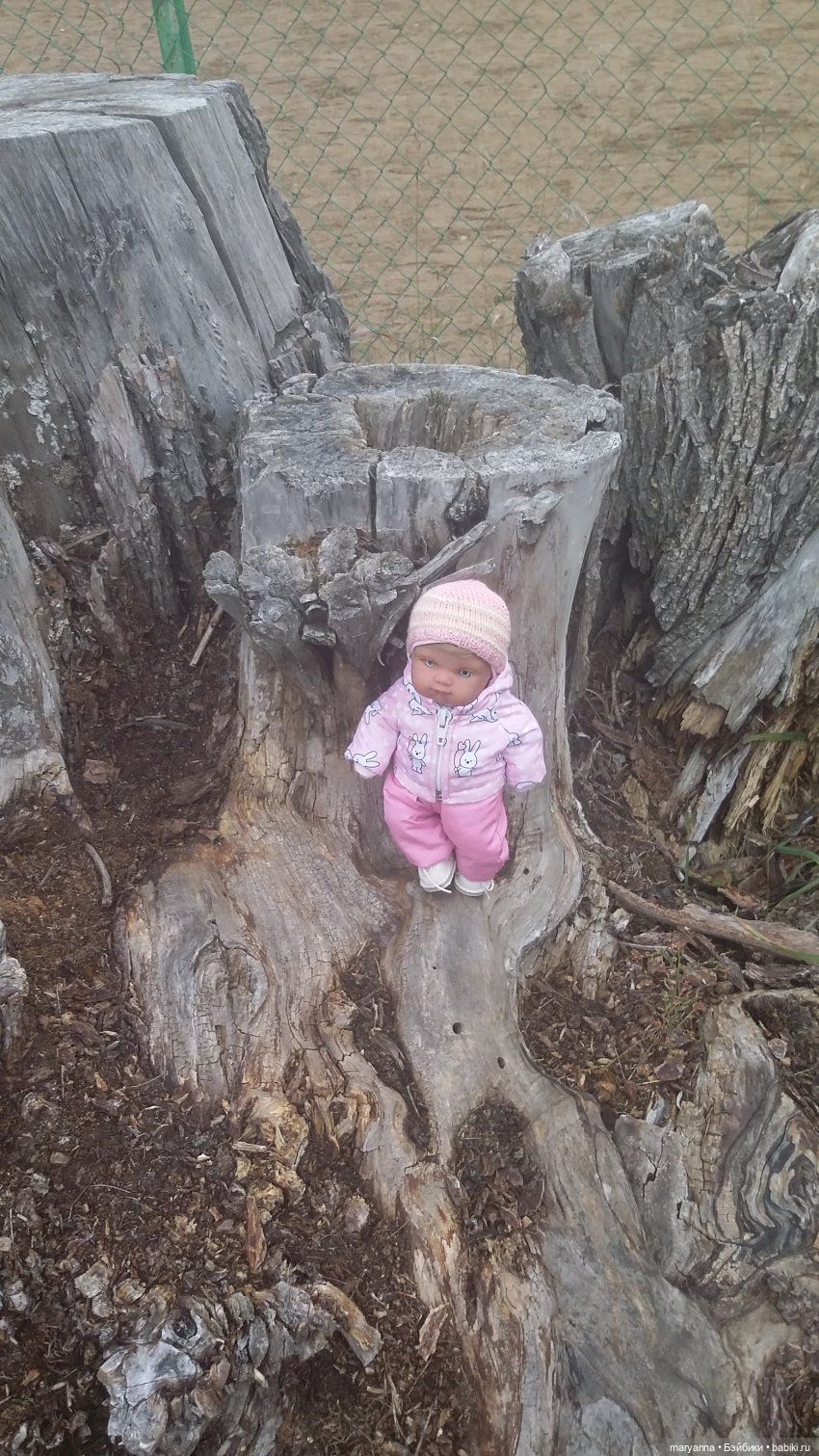 Осенняя прогулка с Миленкой. Санаторий "Колос" (фото 5)