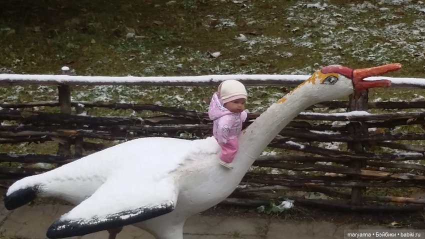 Осенняя прогулка с Миленкой. Село Красноярка Омской области