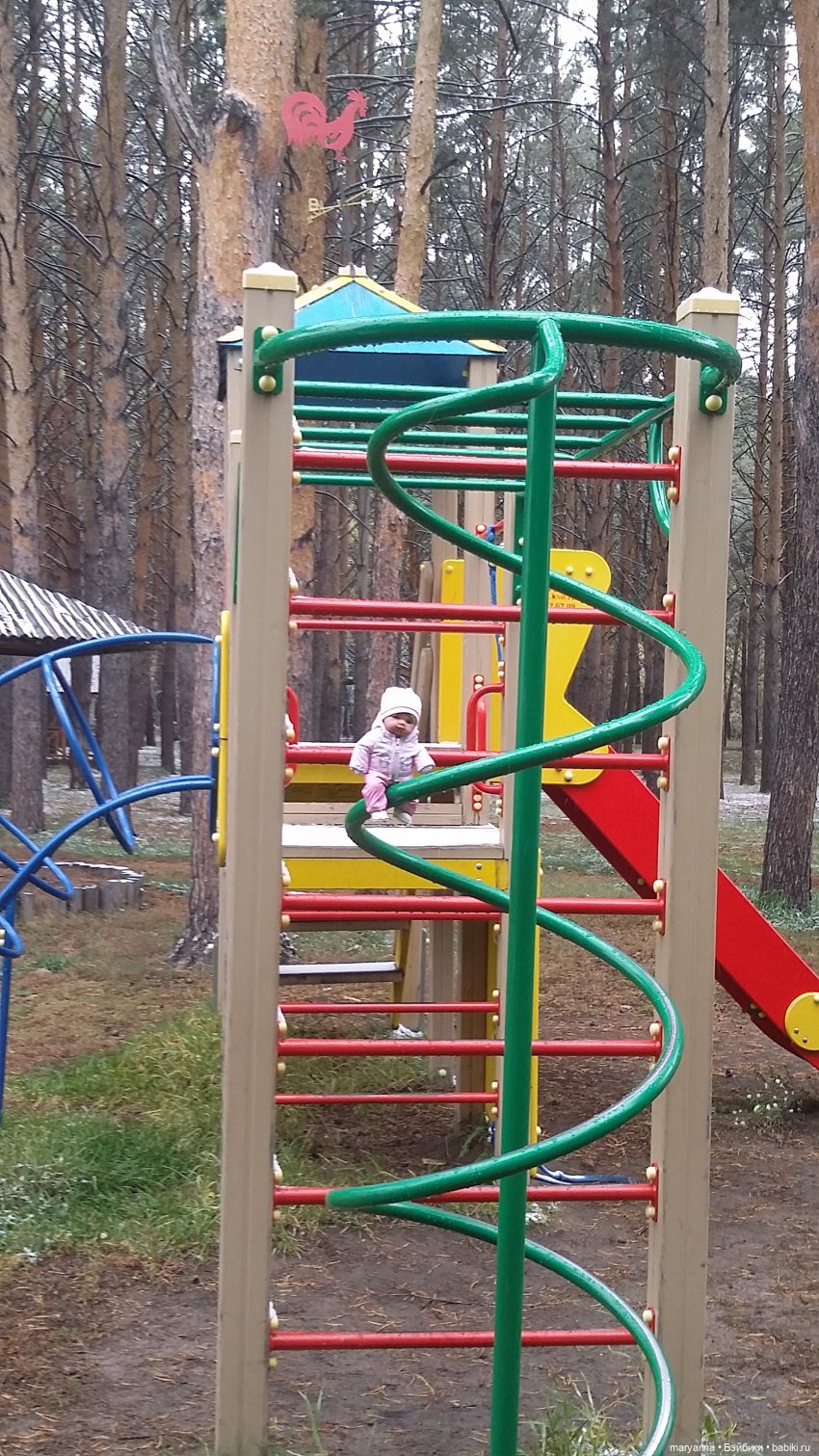 Осенняя прогулка с Миленкой. Село Красноярка Омской области (фото 4)