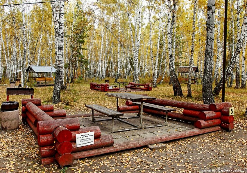 Осенняя прогулка с Миленкой. Санаторий "Колос" (фото 10)