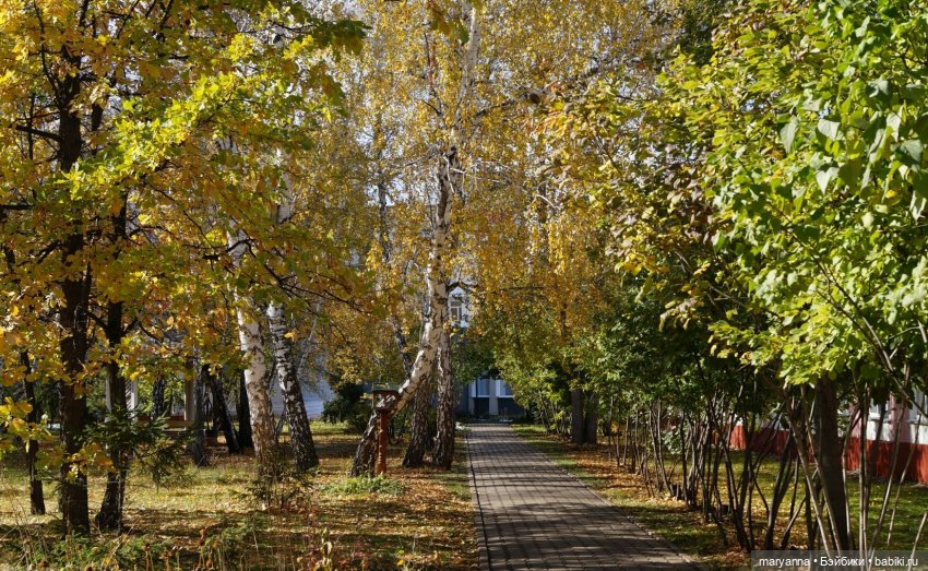 Осенняя прогулка с Миленкой. Санаторий "Колос" (фото 8)