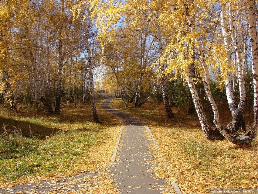 Осенняя прогулка с Миленкой. Санаторий "Колос" (фото 9)