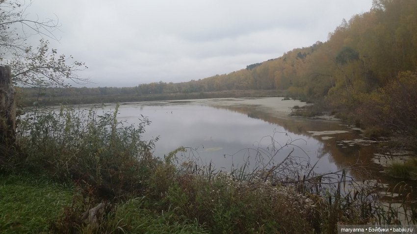 Осенняя прогулка с Миленкой. Санаторий "Колос" (фото 4)