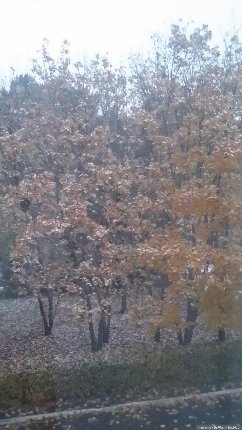 Осенняя прогулка с Миленкой. Село Красноярка Омской области